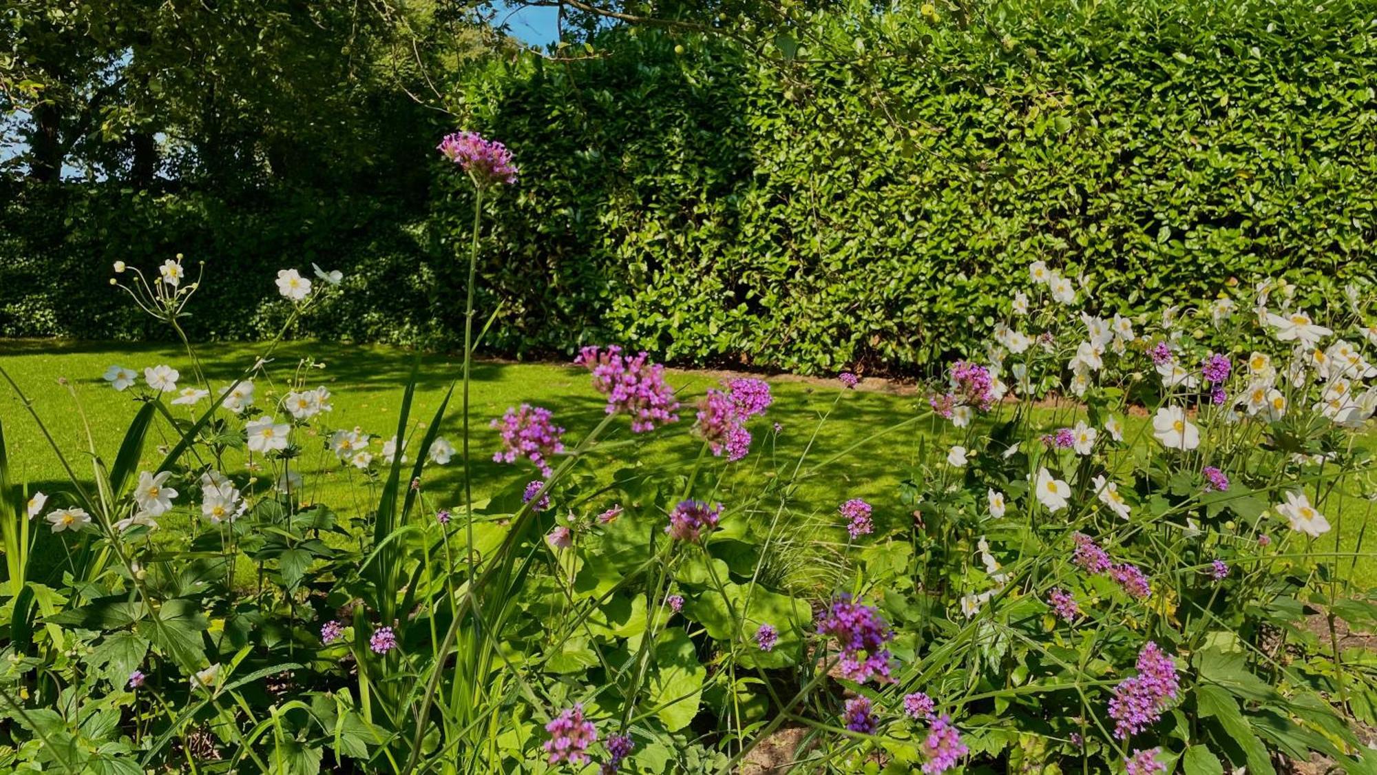 Hoeve Bij Vosselen Bed & Breakfast Asten Eksteriør bilde