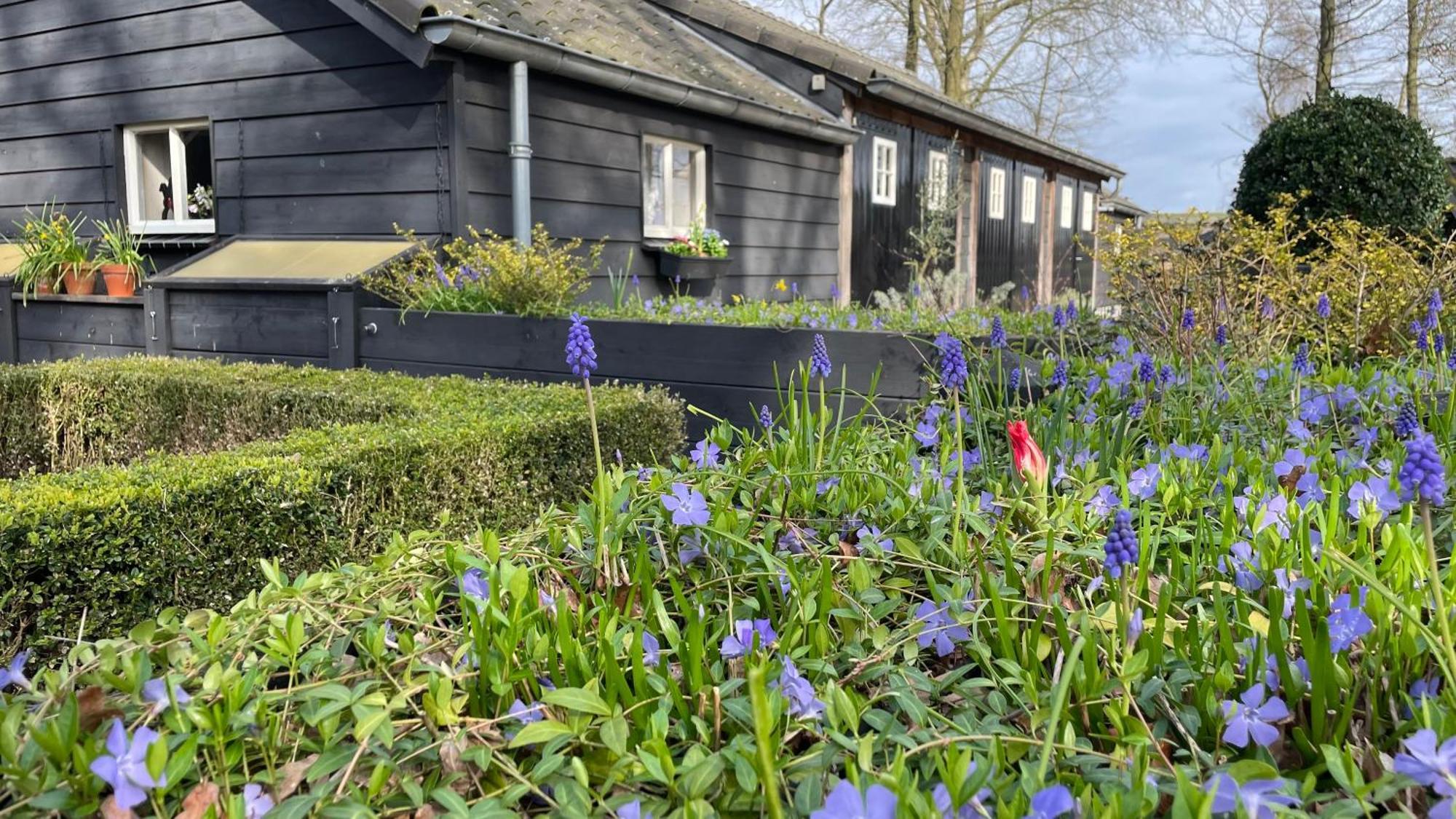 Hoeve Bij Vosselen Bed & Breakfast Asten Eksteriør bilde