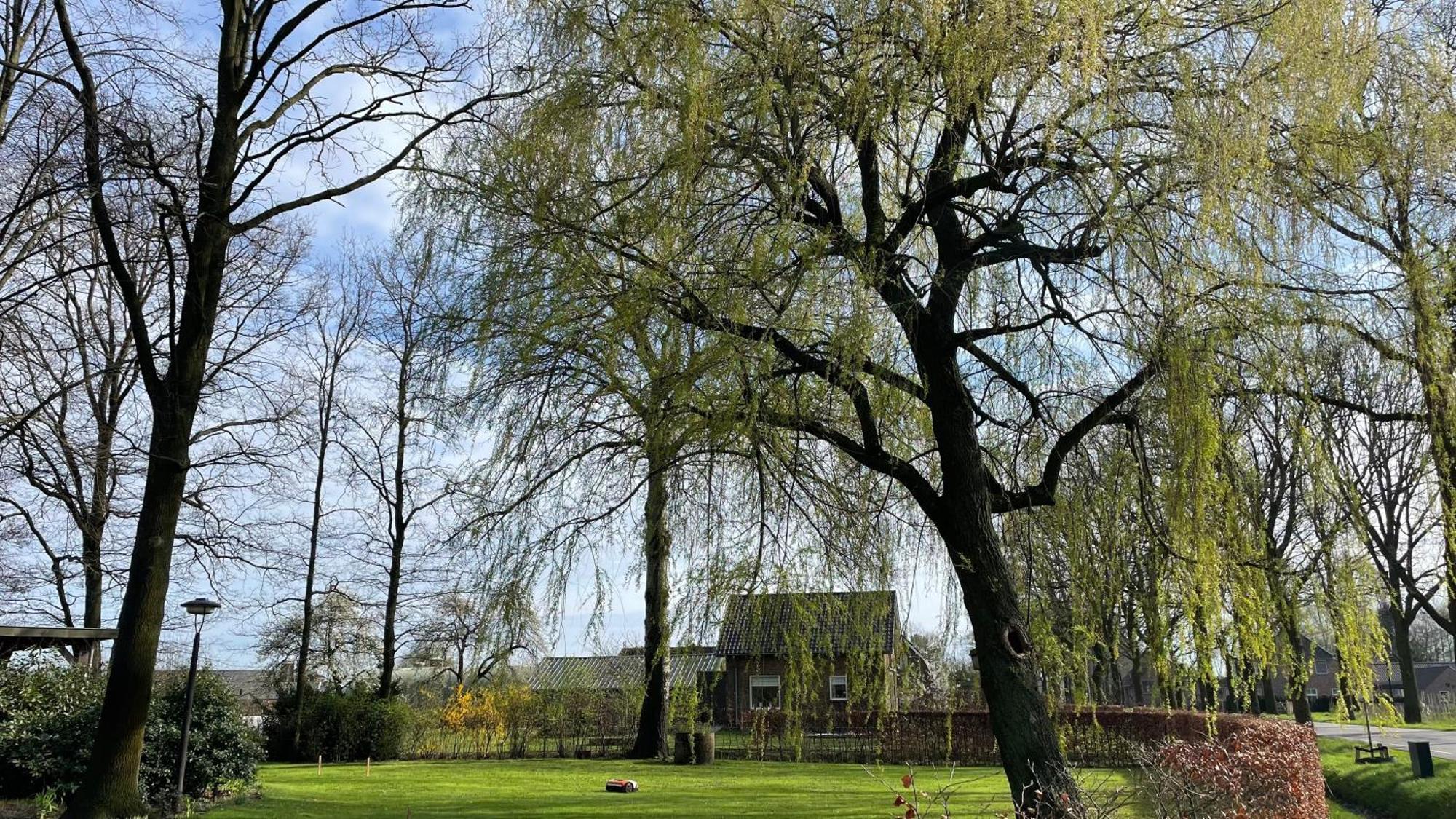 Hoeve Bij Vosselen Bed & Breakfast Asten Eksteriør bilde