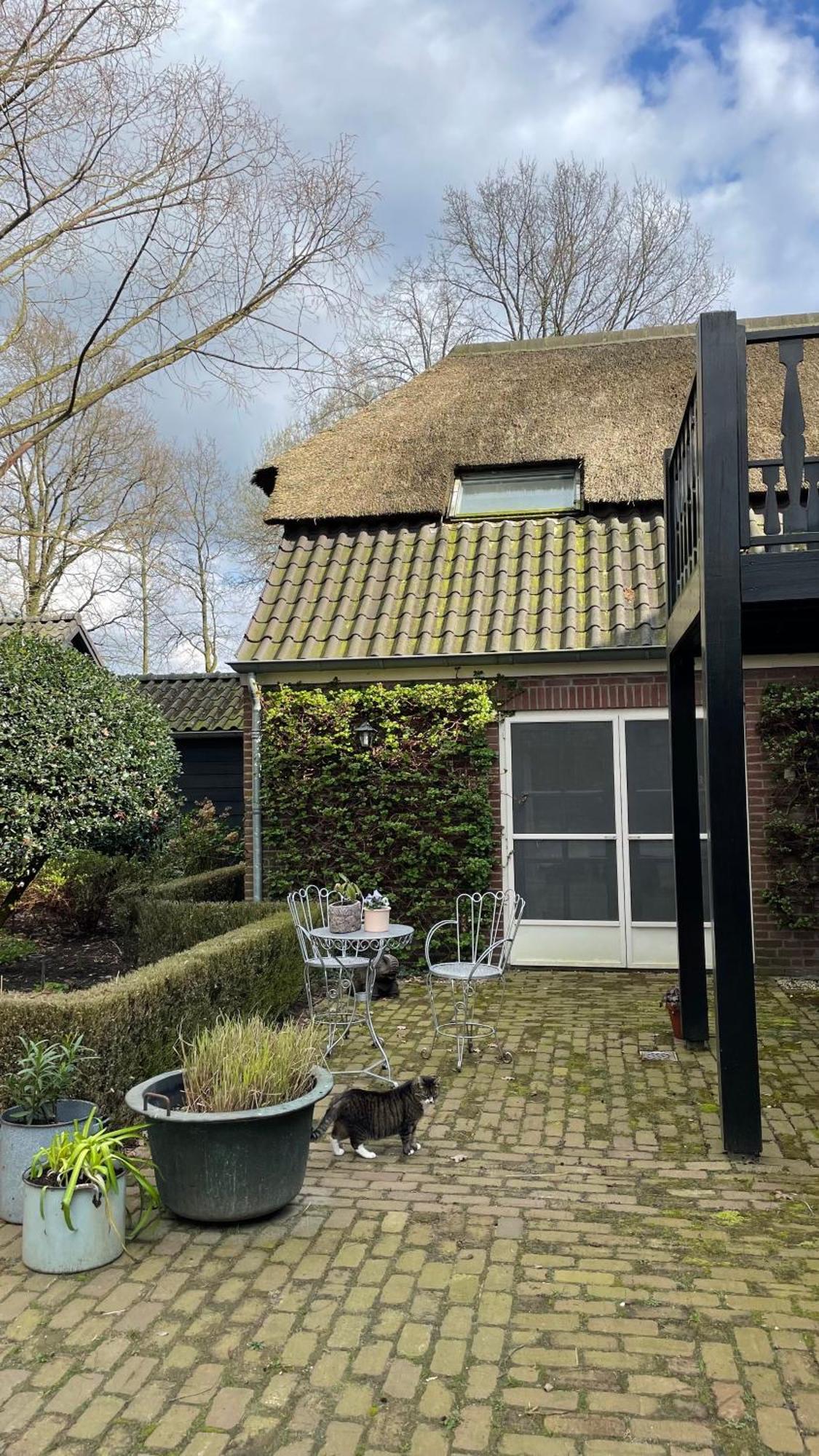 Hoeve Bij Vosselen Bed & Breakfast Asten Eksteriør bilde